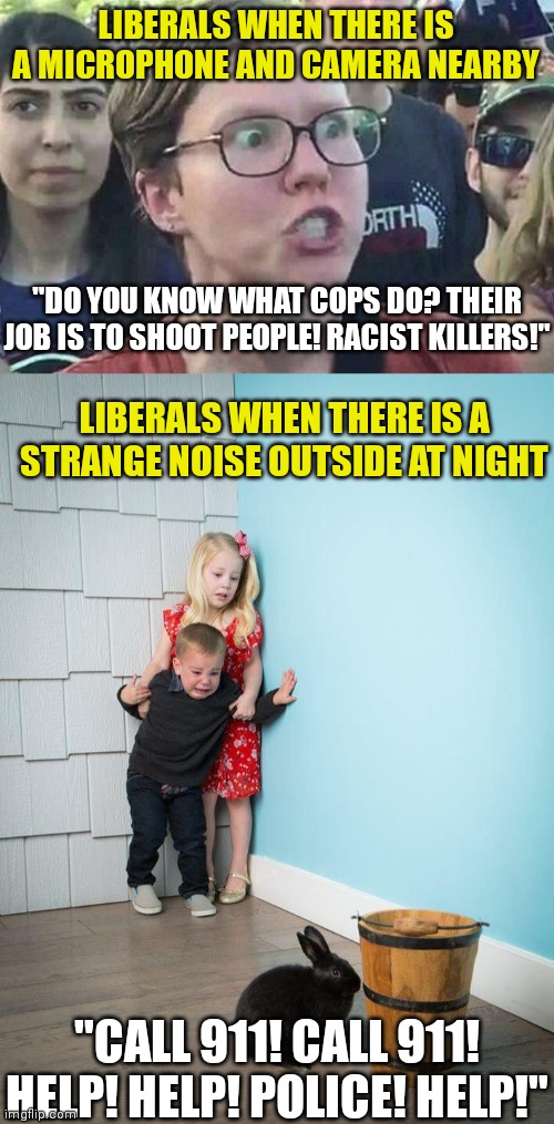 Remember, Liberals only want to defund police when it's light outside. But when its dark outside..... | LIBERALS WHEN THERE IS A MICROPHONE AND CAMERA NEARBY; "DO YOU KNOW WHAT COPS DO? THEIR JOB IS TO SHOOT PEOPLE! RACIST KILLERS!"; LIBERALS WHEN THERE IS A STRANGE NOISE OUTSIDE AT NIGHT; "CALL 911! CALL 911! HELP! HELP! POLICE! HELP!" | image tagged in triggered liberal,kids afraid of rabbit,police | made w/ Imgflip meme maker