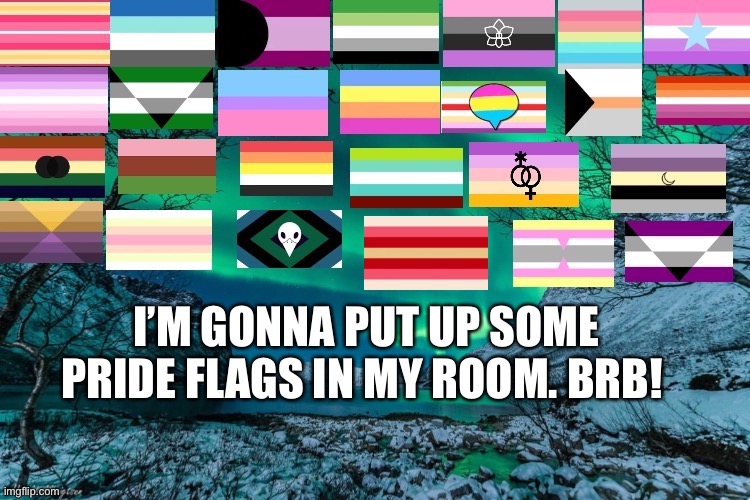 Northern Lights Announcement | I’M GONNA PUT UP SOME PRIDE FLAGS IN MY ROOM. BRB! | image tagged in northern lights announcement | made w/ Imgflip meme maker