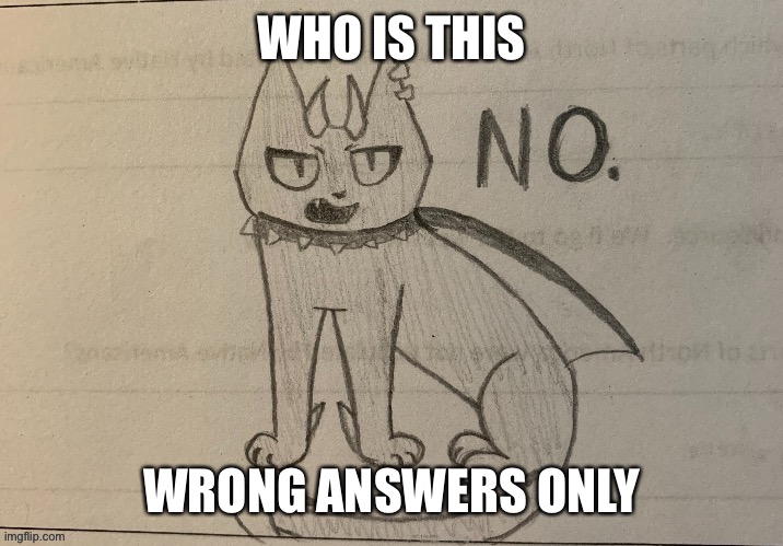 no | WHO IS THIS; WRONG ANSWERS ONLY | image tagged in no | made w/ Imgflip meme maker