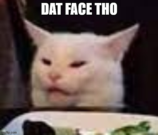 dat face tho | DAT FACE THO | image tagged in funny cats | made w/ Imgflip meme maker