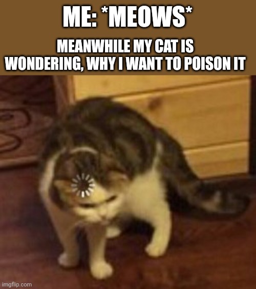 Classic Loading Cat meme | ME: *MEOWS*; MEANWHILE MY CAT IS WONDERING, WHY I WANT TO POISON IT | image tagged in loading cat | made w/ Imgflip meme maker