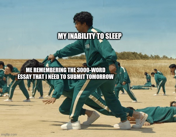 Squid Game Green Light Fall | MY INABILITY TO SLEEP; ME REMEMBERING THE 3000-WORD ESSAY THAT I NEED TO SUBMIT TOMORROW | image tagged in squid game green light fall | made w/ Imgflip meme maker