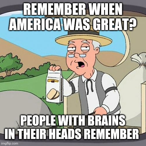 Pepperidge Farm Remembers Meme | REMEMBER WHEN AMERICA WAS GREAT? PEOPLE WITH BRAINS IN THEIR HEADS REMEMBER | image tagged in memes,pepperidge farm remembers | made w/ Imgflip meme maker