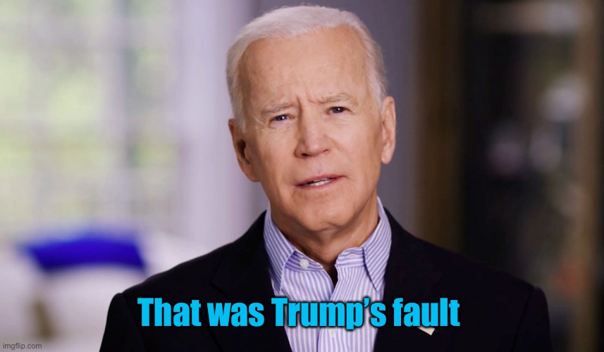 Joe Biden 2020 | That was Trump’s fault | image tagged in joe biden 2020 | made w/ Imgflip meme maker