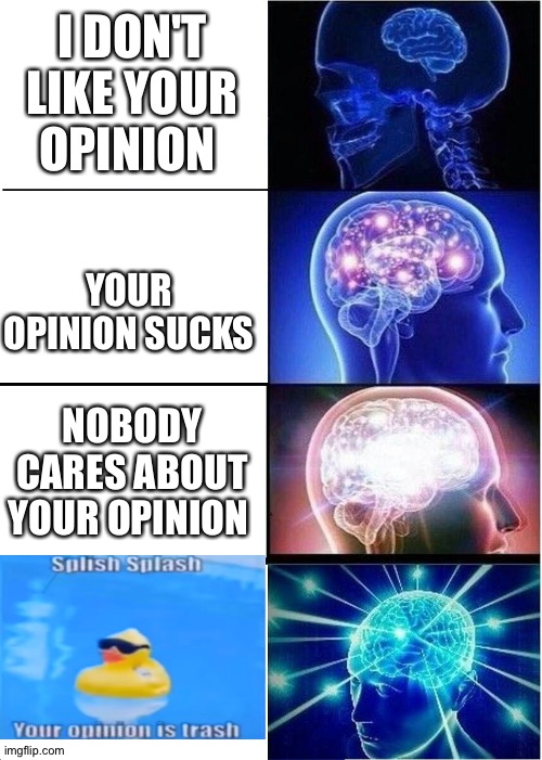 Duck has found your opinion NOT OKAY | I DON'T LIKE YOUR OPINION; YOUR OPINION SUCKS; NOBODY CARES ABOUT YOUR OPINION | image tagged in memes,expanding brain | made w/ Imgflip meme maker