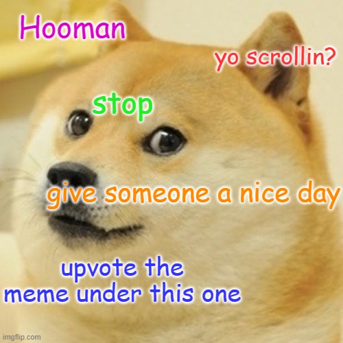 dew it. |  Hooman; yo scrollin? stop; give someone a nice day; upvote the meme under this one | image tagged in memes,doge,funny,hooman,dog,upvote | made w/ Imgflip meme maker