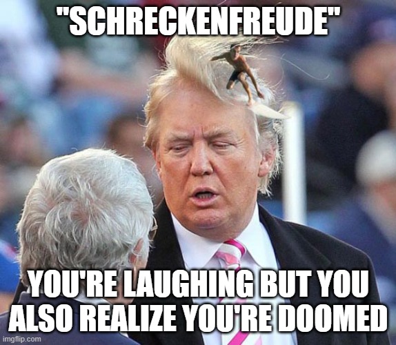 Schreckenfreude | "SCHRECKENFREUDE"; YOU'RE LAUGHING BUT YOU ALSO REALIZE YOU'RE DOOMED | image tagged in trump,doom,end of the world meme,decline of society | made w/ Imgflip meme maker