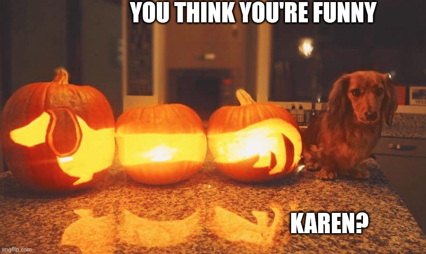 WEINER PUMPKIN DOG | YOU THINK YOU'RE FUNNY; KAREN? | image tagged in dogs,dog,pumpkin,spooktober | made w/ Imgflip meme maker
