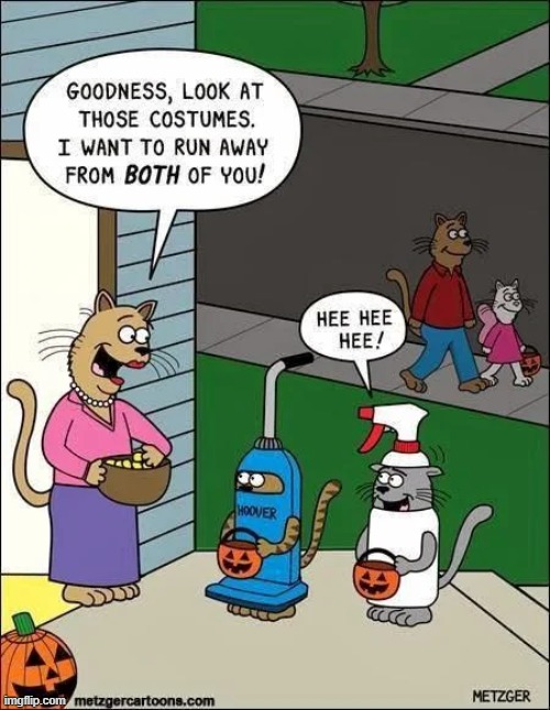 meanwhile in an alternate universe | image tagged in comics/cartoons,cats,vacuum cleaner,sprayer | made w/ Imgflip meme maker