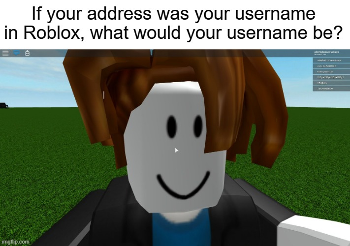 Me being stupid again (DO NOT ACTUALLY) | If your address was your username in Roblox, what would your username be? | image tagged in roblox bacon hair | made w/ Imgflip meme maker