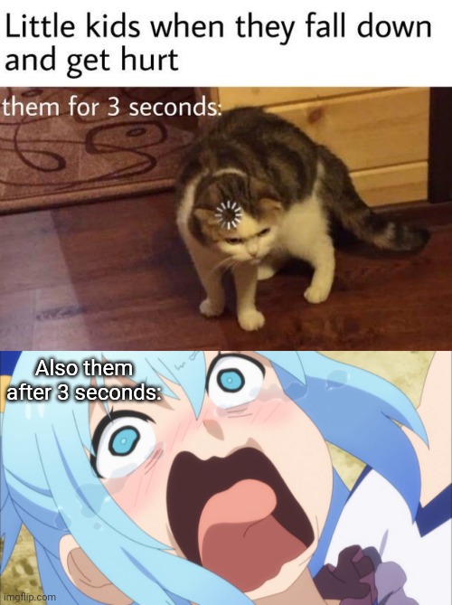 That's gotta smart | Also them after 3 seconds: | image tagged in aqua screaming,loading cat | made w/ Imgflip meme maker