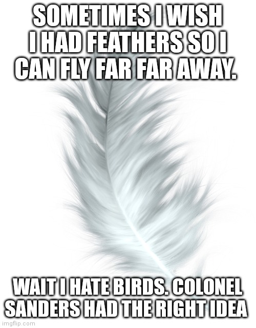 Feather | SOMETIMES I WISH I HAD FEATHERS SO I CAN FLY FAR FAR AWAY. WAIT I HATE BIRDS. COLONEL SANDERS HAD THE RIGHT IDEA | image tagged in feather | made w/ Imgflip meme maker