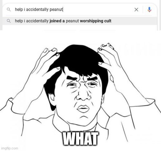 WHAT |  WHAT | image tagged in memes,jackie chan wtf | made w/ Imgflip meme maker