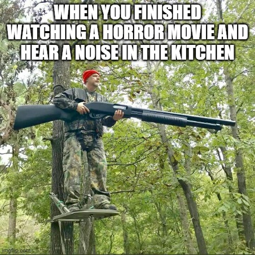 horror  movies | WHEN YOU FINISHED WATCHING A HORROR MOVIE AND HEAR A NOISE IN THE KITCHEN | image tagged in scary | made w/ Imgflip meme maker