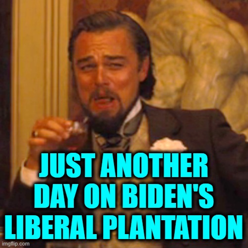 Laughing Leo Meme | JUST ANOTHER DAY ON BIDEN'S LIBERAL PLANTATION | image tagged in memes,laughing leo | made w/ Imgflip meme maker
