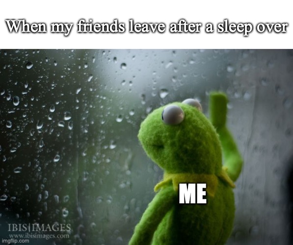 I just look at the window, and see my friends leave after the sleepover :( | When my friends leave after a sleep over; ME | image tagged in kermit window,memes | made w/ Imgflip meme maker