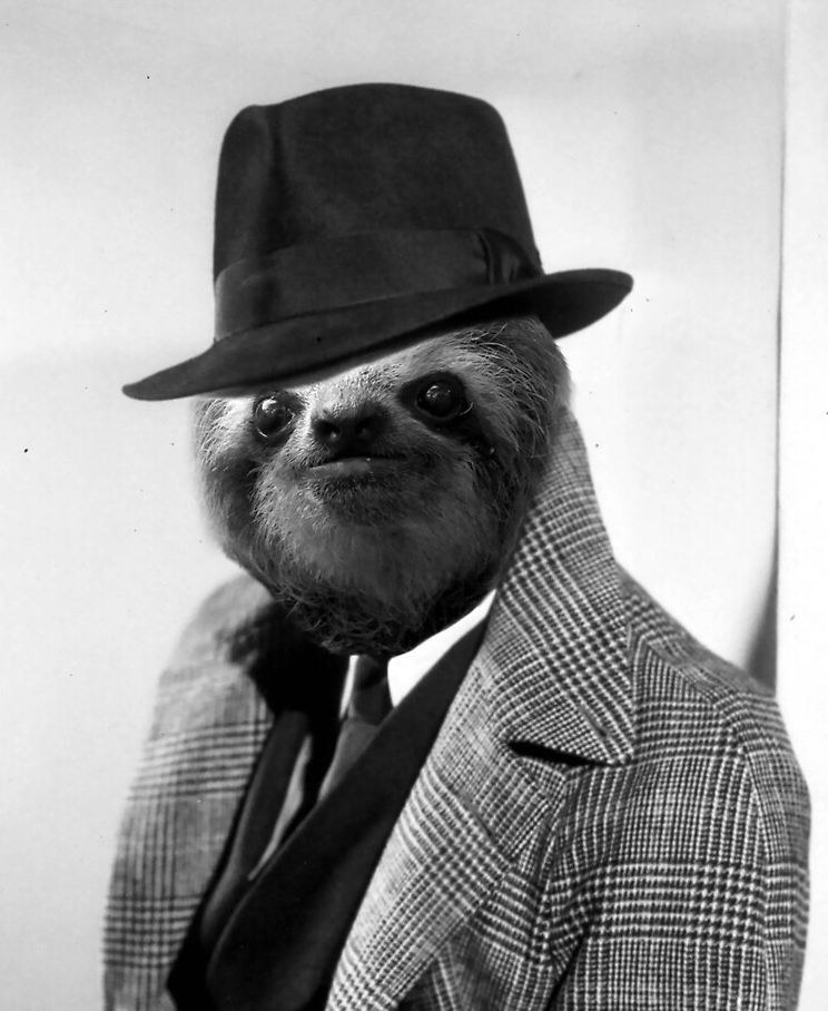 Sloth gentleman Blank Meme Template