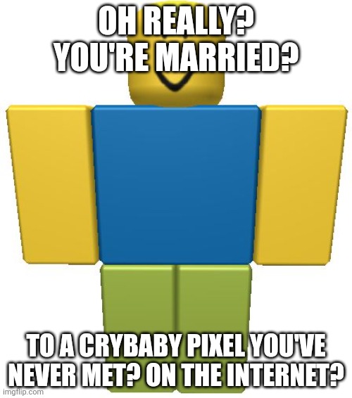 ROBLOX Noob | OH REALLY? YOU'RE MARRIED? TO A CRYBABY PIXEL YOU'VE NEVER MET? ON THE INTERNET? | image tagged in roblox noob | made w/ Imgflip meme maker