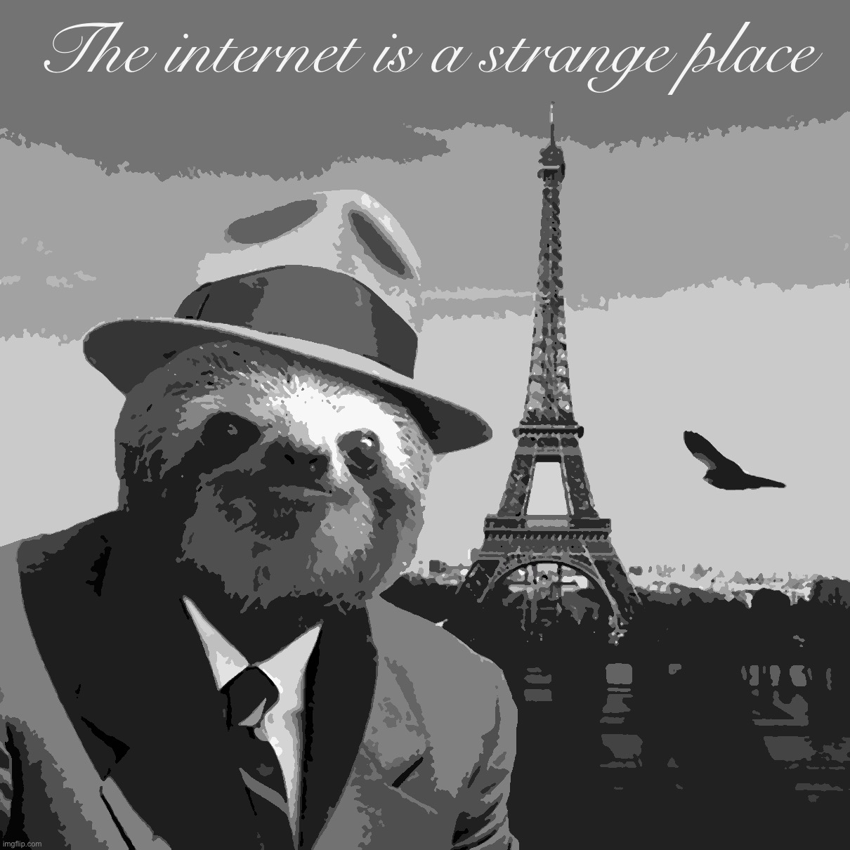 Sloth gentleman | The internet is a strange place | image tagged in sloth gentleman | made w/ Imgflip meme maker