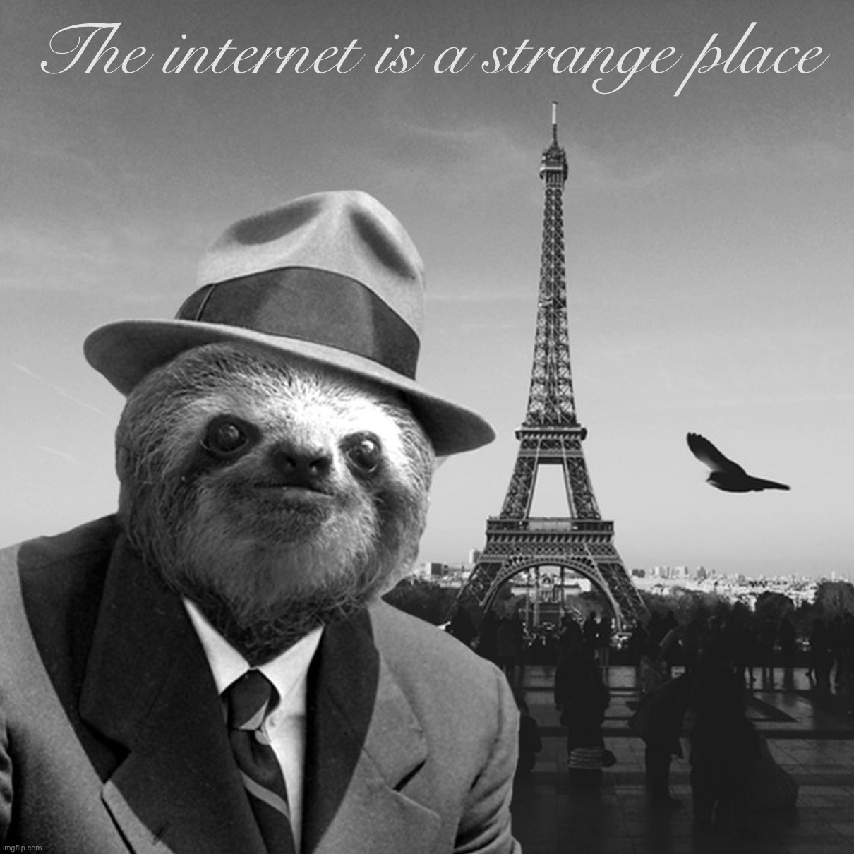 The internet |  The internet is a strange place | image tagged in sloth gentleman,sloth,gentleman,paris,eiffel tower,internet | made w/ Imgflip meme maker