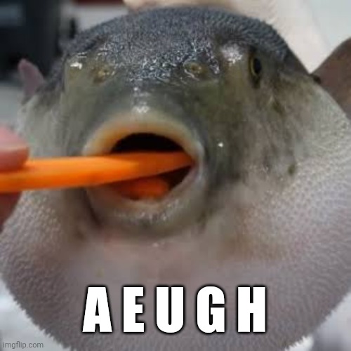 Æugh | A E U G H | image tagged in ugh | made w/ Imgflip meme maker