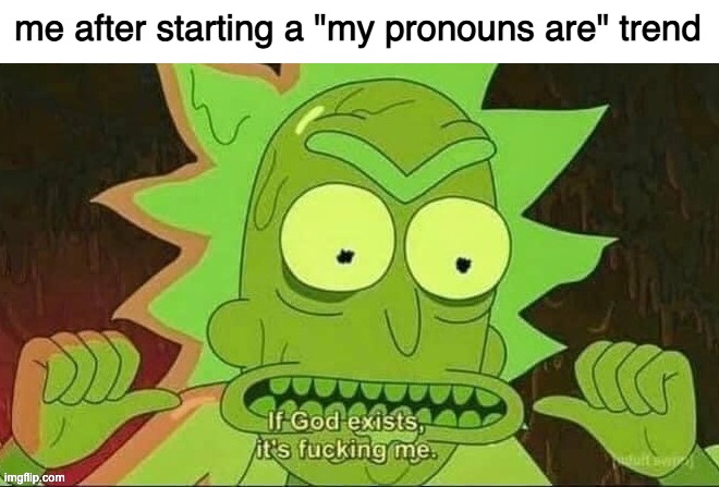 If God exists, it's me | me after starting a "my pronouns are" trend | image tagged in if god exists it's me | made w/ Imgflip meme maker