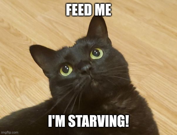 Princess Joy | FEED ME; I'M STARVING! | image tagged in princess joy | made w/ Imgflip meme maker