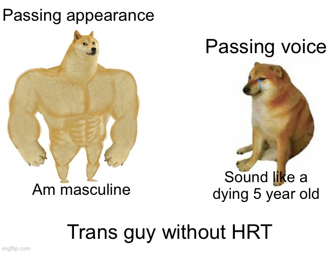 haha dysphoria go brrrrr | Passing appearance; Passing voice; Am masculine; Sound like a dying 5 year old; Trans guy without HRT | image tagged in memes,buff doge vs cheems,lgbt,lgbtq,transgender,trans | made w/ Imgflip meme maker