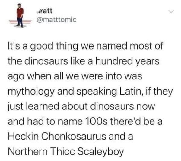 Naming Dinosaurs Blank Meme Template