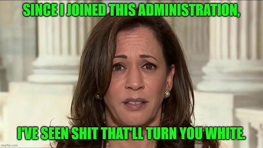 kamala harris | SINCE I JOINED THIS ADMINISTRATION, I'VE SEEN SHIT THAT'LL TURN YOU WHITE. | image tagged in kamala harris | made w/ Imgflip meme maker