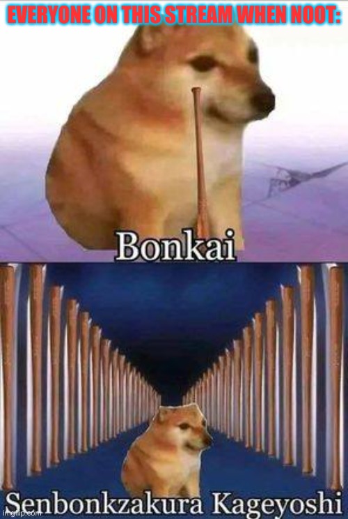 Horny dog bonkai | EVERYONE ON THIS STREAM WHEN NOOT: | image tagged in horny dog bonkai | made w/ Imgflip meme maker