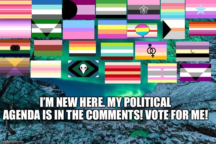 Northern Lights Announcement | I’M NEW HERE. MY POLITICAL AGENDA IS IN THE COMMENTS! VOTE FOR ME! YEAH | image tagged in northern lights announcement | made w/ Imgflip meme maker