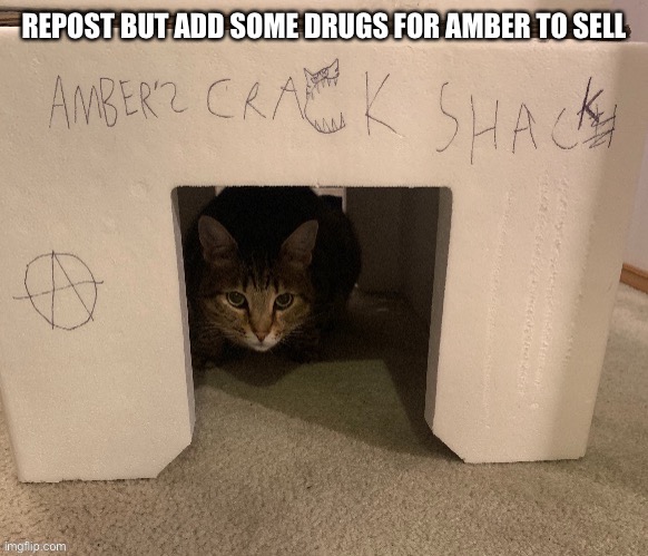 REPOST BUT ADD SOME DRUGS FOR AMBER TO SELL | made w/ Imgflip meme maker