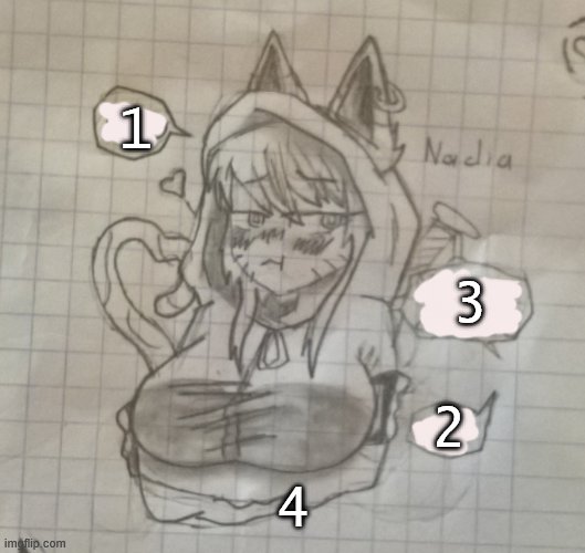 New:Nadia | 1; 3; 2; 4 | image tagged in nadia | made w/ Imgflip meme maker