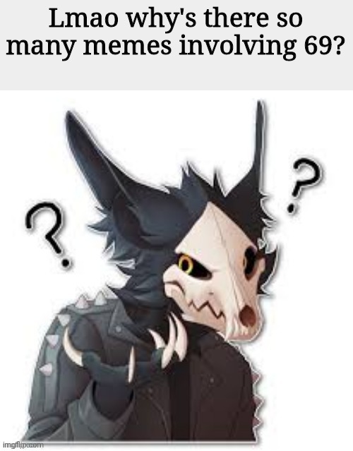 XD | Lmao why's there so many memes involving 69? | image tagged in wingedwolf94 wtf | made w/ Imgflip meme maker