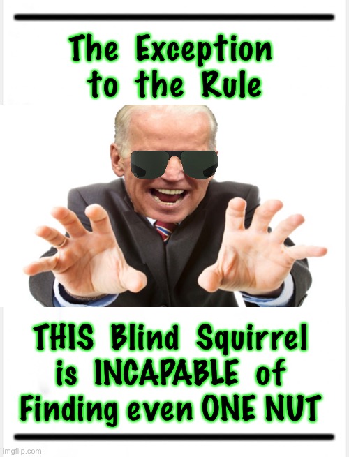 Brando Joe - Presidential Qualities that Dems Voted for:  Evil Heartless Liar Corrupt Bought & Paid For DUMB Demented Dementia E | The  Exception 
to  the  Rule; THIS  Blind  Squirrel 
is  INCAPABLE  of 
Finding even ONE NUT | image tagged in mremes,joe brandon,80 million dems chose this over mean tweets,these are the adults in the dem party,dem voters can kma | made w/ Imgflip meme maker