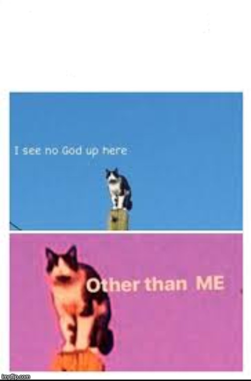 Better I see no God cat | image tagged in better i see no god cat | made w/ Imgflip meme maker