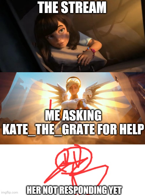 Also you guys kinda deserve it because you keep sending death threats and stuff | THE STREAM; ME ASKING KATE_THE_GRATE FOR HELP; HER NOT RESPONDING YET | image tagged in overwatch mercy meme | made w/ Imgflip meme maker