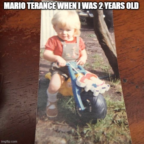 Mario Terance | MARIO TERANCE WHEN I WAS 2 YEARS OLD | image tagged in mario terance | made w/ Imgflip meme maker