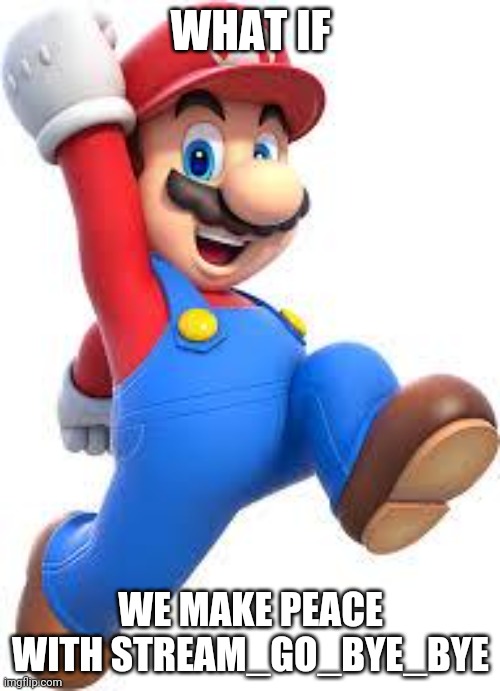 Has anyone thought of this or were you guys too busy sending death threats to random 11 year olds for trolling | WHAT IF; WE MAKE PEACE WITH STREAM_GO_BYE_BYE | image tagged in mario | made w/ Imgflip meme maker