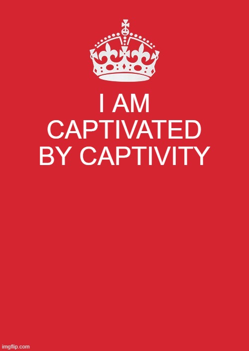 Captivity is Life | I AM CAPTIVATED BY CAPTIVITY | image tagged in memes,keep calm and carry on red | made w/ Imgflip meme maker