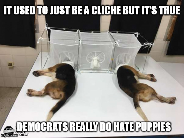 Whoever did this needs to have their heads put in those things | IT USED TO JUST BE A CLICHE BUT IT'S TRUE; DEMOCRATS REALLY DO HATE PUPPIES | image tagged in democrats hate puppies | made w/ Imgflip meme maker
