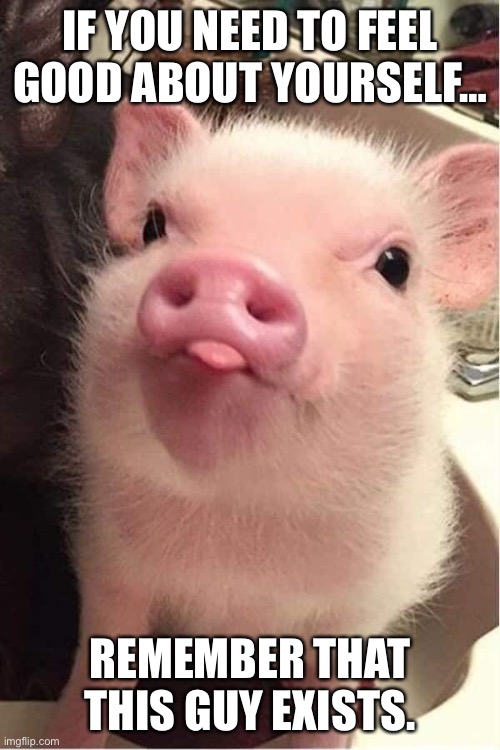 IF YOU NEED TO FEEL GOOD ABOUT YOURSELF…; REMEMBER THAT THIS GUY EXISTS. | image tagged in animals,wholesome | made w/ Imgflip meme maker