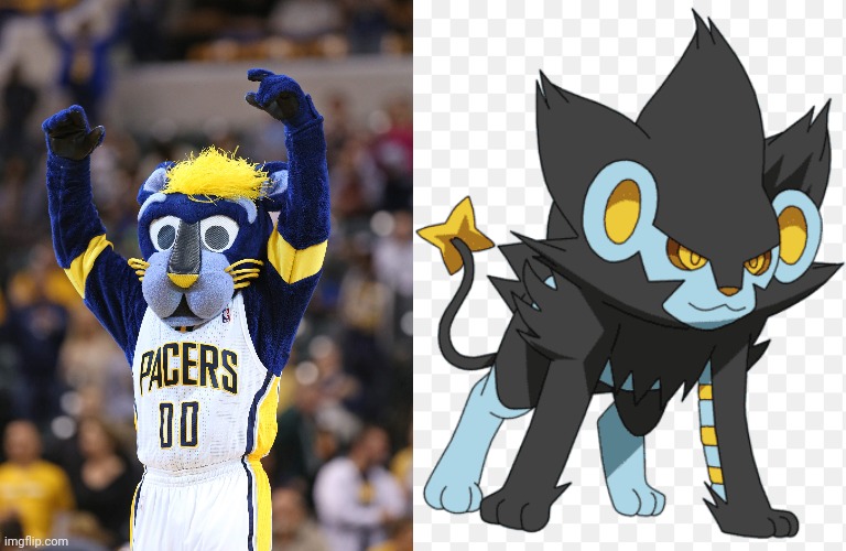 ayo pacers mascot WTF | image tagged in memes | made w/ Imgflip meme maker