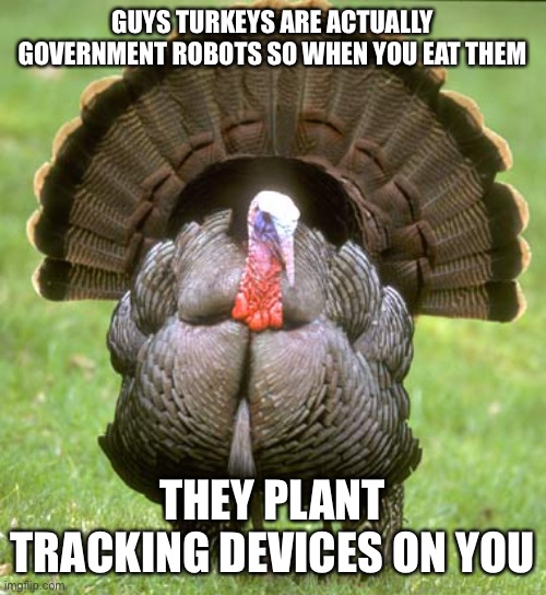 The more you know | GUYS TURKEYS ARE ACTUALLY GOVERNMENT ROBOTS SO WHEN YOU EAT THEM; THEY PLANT TRACKING DEVICES ON YOU | image tagged in memes,turkey | made w/ Imgflip meme maker