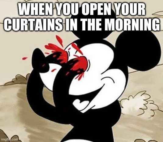 My Eyes!!! | WHEN YOU OPEN YOUR CURTAINS IN THE MORNING | image tagged in my eyes | made w/ Imgflip meme maker