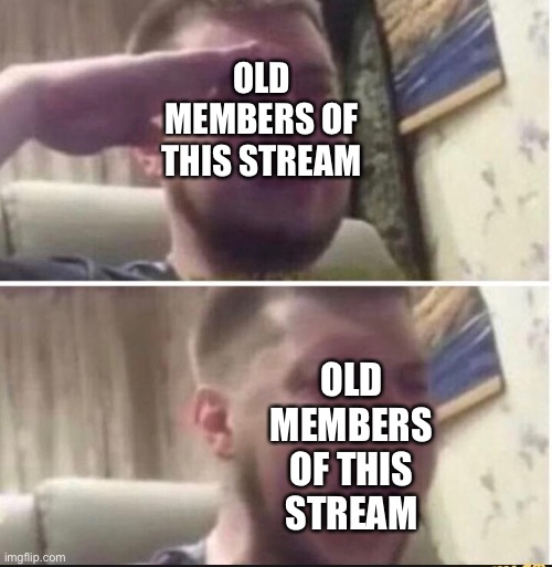 Crying salute | OLD MEMBERS OF THIS STREAM OLD MEMBERS OF THIS STREAM | image tagged in crying salute | made w/ Imgflip meme maker