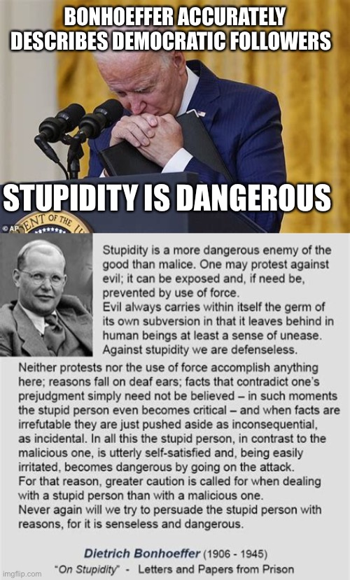 Democrats depend on stupidity to retain power | BONHOEFFER ACCURATELY DESCRIBES DEMOCRATIC FOLLOWERS; STUPIDITY IS DANGEROUS | image tagged in crying,democrats,biden,stupidity,incompetence | made w/ Imgflip meme maker