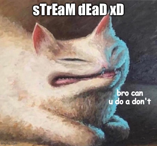 bro can u do a dont | sTrEaM dEaD xD | image tagged in bro can u do a dont | made w/ Imgflip meme maker