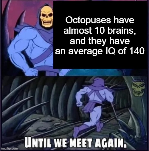 G E N I U S O C T O P U S E S | Octopuses have almost 10 brains, and they have an average IQ of 140 | image tagged in until we meet again,octopus | made w/ Imgflip meme maker